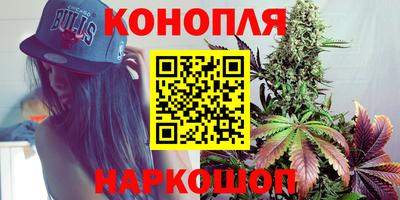 тгк Кингисепп