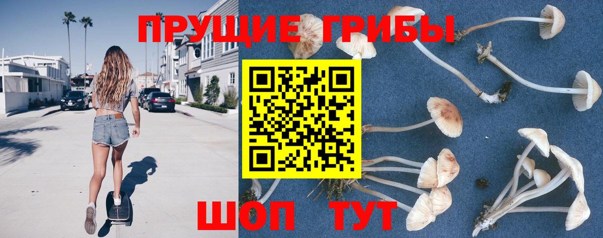 Галлюциногенные грибы Cubensis  Вход с VPN  Кузнецк 